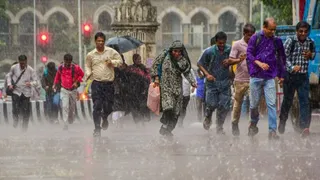 इस साल अपने चरम पर पहुंच सकता है अल नीनो, भारत के मानसून को लेकर क्यों कम हो गई चिंताएं?