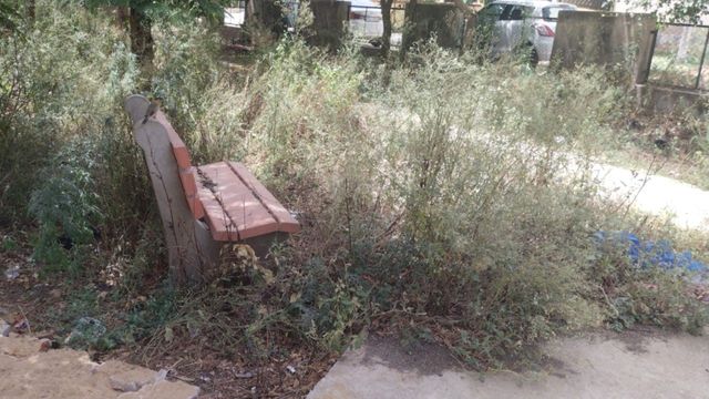 नारनौल के 43 पार्क बदहाल, गंदगी, टूटे झूले और जर्जर दीवारें बयां कर रहे सिस्टम की बड़ी लापरवाही
