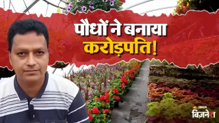 नर्सरी का बिजनेस शुरू कर अमीर बना ये शख्स