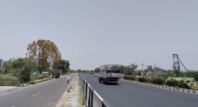 हिसार में 63 करोड़ का डबल लूप इंटरचेंज प्रोजेक्ट अटका, हाईकोर्ट ने पेड़ों की कटाई पर लगाई रोक