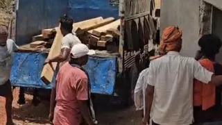 20 लाख की अवैध लकड़ी जब्त