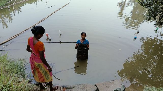 साहिबगंज में अब महिलाएं बनेंगी आत्मनिर्भर, शुरू हुआ मोतीपालन का काम; 10 किसानों को मिले 500 सीप
