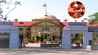 बालिग को अपनी पसंद से शादी करने का हक: हाई कोर्ट।