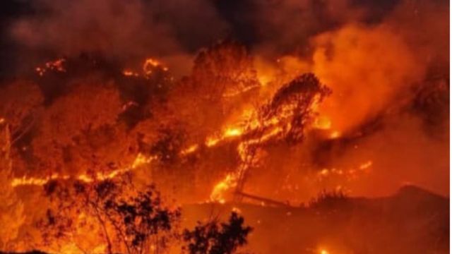 चकराता के जंगलों में भीषण आग: सेब के बाग और छानी जलकर राख, एक व्यक्ति गंभीर झुलसा
