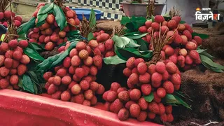 लीची की के उत्पादन और निर्यात के बीच बड़ा गैप (सांकेतिक तस्वीर)