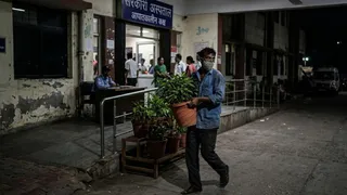सरकारी अस्पताल से गमला चोरी। AI जेनेरेटेड फोटो