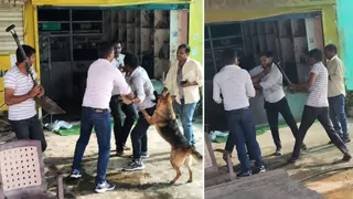 बेलचे से सिर फोड़ दिया और कुत्ते से भी कटवाया