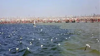 प्रयागराज संगम की फाइल फोटो।