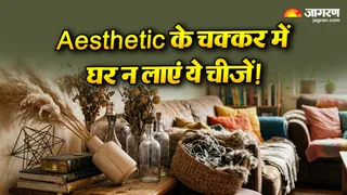 Aesthetic के चक्कर में घर न लाएं ये चीजें (Picture Credit- AI Generated)