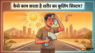 शरीर का 'ऑटोमैटिक एसी' कैसे करता है काम? (Picture Credit- AI Generated)