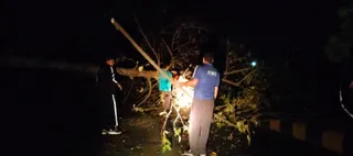 अग्निशमन एवं पुलिस विभाग की टीमों ने रात में किसी तरह से पेड़ों को कटवाकर यातायात किया सुचारू. Jagran