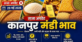 News Article Hero Image