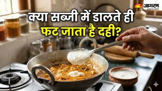 दही डालते ही बिगड़ जाता है सब्जी का टेक्सचर? इन 3 बातों का रखें ख्याल (Image Source: AI-Generated)