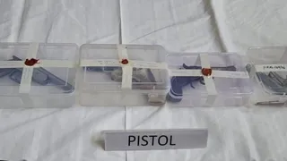 रोहिणी पुलिस ने 'ऑपरेशन शस्त्र' के तहत 48 घंटे में 21 हिस्ट्रीशीटरों को गिरफ्तार किया।
