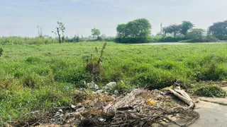 गांव जवाहरपुर मेवला में गंदगी से अटा पड़ा तालाब। जागरण