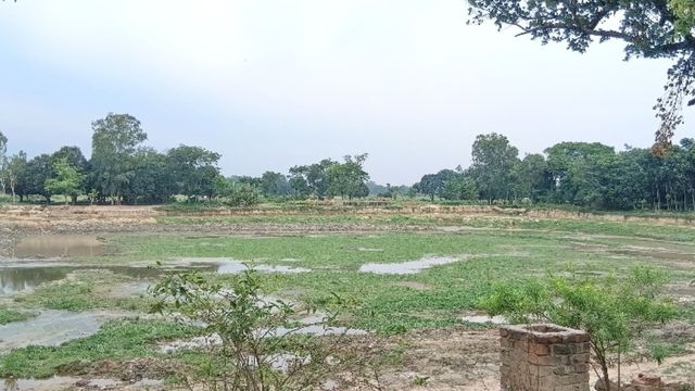 मधुबनी में मिली 800 साल पुरानी बौद्ध देवी तारा की प्रतिमा, क्या है इसमें खास?

