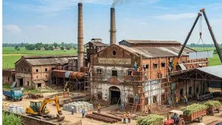 इसमें प्रतीकात्मक तस्वीर लगाई गई है।