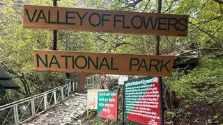 विश्व धरोहर फूलों की घाटी।