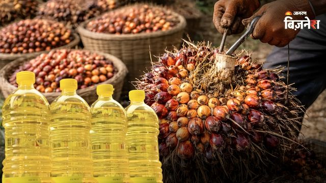 https://www.jagranimages.com/images/2026/06/01/article/image/palm-oil-1780292216713.jpg
