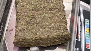News Article Hero Image