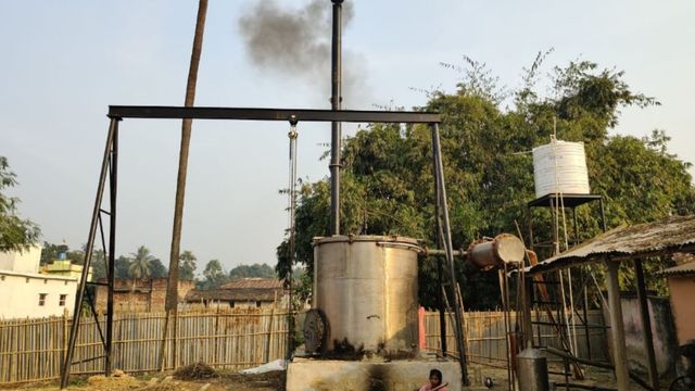 Vetiver Farming: कोसी की बंजर जमीन पर उग रहा हरा सोना, 70 हजार की लागत में तीन लाख तक कमाई

