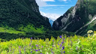 आप भी देखना चाहते हैं वैली ऑफ फ्लावर्स? (Picture Courtesy: uttarakhandtourism)