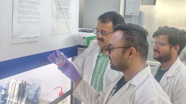 कीमोथेरेपी के कष्ट से कैंसर के मरीजों को मिलेगी राहत, IIT BHU के विज्ञानियों ने खोजा कैंसर कोशिकाओं को खत्म करने वाला यौगिक