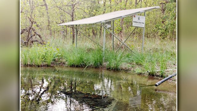 Pilibhit Tiger Reserve: सोलर एनर्जी से संवरा पीटीआर, बाघों के लिए ऐसे वरदान बनी सूरज की तपिश
