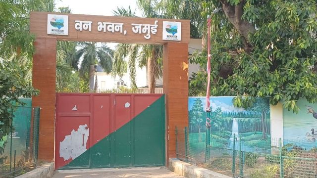 फॉरेस्ट सर्वे ऑफ इंडिया की रिपोर्ट में जमुई का जलवा, सघन वन में बिहार में थर्ड; हरियाली देखकर आप भी होंगे प्रसन्न
