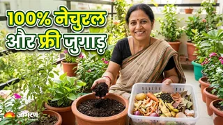 किचन वेस्ट से फ्री में बनाएं बेहतरीन 'काला सोना' (Image Source: AI-Generated)