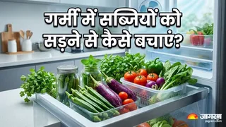 सब्जियों को सड़ने से बचाना है तो प्लास्टिक की थैलियों को कहें 'गुडबाय' (Image Source: AI-Generated)