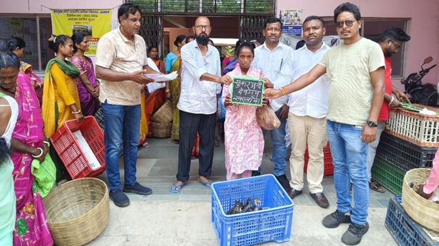 सरायकेला खरसावां में बत्तख पालन से स्वरोजगार की नई राह, 35 लाभुकों को बांटे गए चूजे

