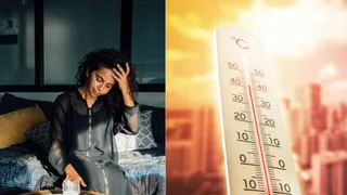 हीटवेव के दौरान घर में रहना भी सेहत पर पड़ सकता है भारी, जानें एक्सपर्ट से (Image Source: Freepik)
