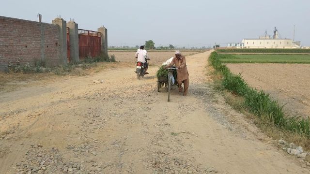 अमेरिका-इजराइल-ईरान युद्ध का पड़ा बुरा असर, करनाल की 70 सड़कों के निर्माण पर लगा ब्रेक
