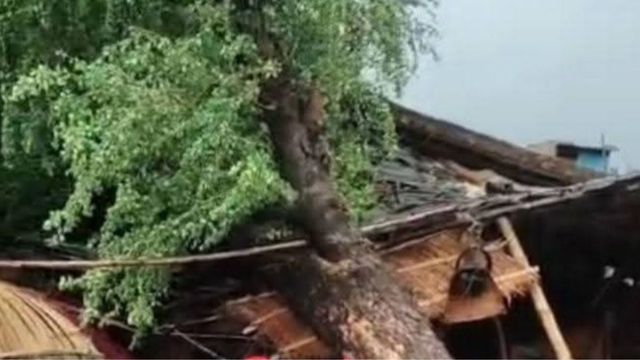 दरभंगा में तेज आंधी और मूसलाधार बारिश से जगह-जगह गिरे पेड़, कई छप्पर उड़े
