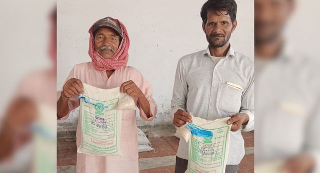 यूपी में अनुदानित बीज में DBT सिस्टम खत्म, अब किसानों को सीधे मिलेगा लाभ, नहीं करना होगा सब्सिडी का इंतजार

