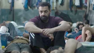बंदर बॉक्स ऑफिस कलेक्शन डे-5/ फोटो- Instagram