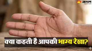 हाथों में कहां होती है भाग्य की रेखा? (AI-Generated Image)