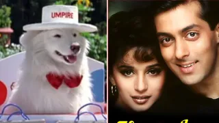 हम आपके हैं कौन में टफी की कास्टिंग का मजेदार किस्सा/ फोटो- Instagram