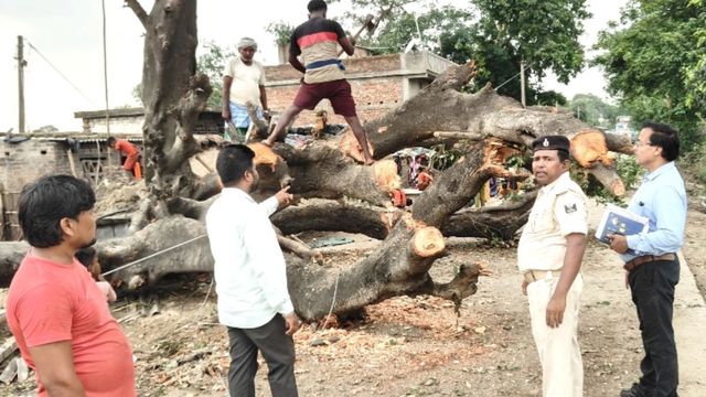 नरकटियागंज बलथर मार्ग पर 40 घंटे बाद आवागमन चालू, आंधी में पेड़ गिरने से ठप थी बिजली