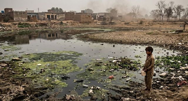 अतिक्रमण की भेंट चढ़े यमुनानगर के जलाशय, 592 तालाबों में कचरा; 69 पूरी तरह सूखे
