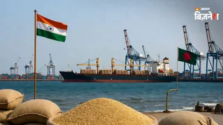 बांग्लादेश ने जारी किया 50000 टन गेहूं खरीदने का टेंडर (AI Image)