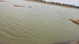 गड्ढे में डूबने से वृद्ध की मौत