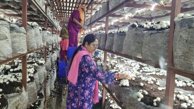 ग्लोबल मार्केट में पहुंचीं जौनपुर की सब्जियां, विदेशी थालियों का बढ़ाएंगी जायका