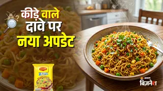 नेस्ले इंडिया ने मैगी नूडल्स में कीड़ों की मौजूदगी के सोशल मीडिया आरोपों को खारिज किया है।