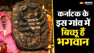 कर्नाटक के इस गांव में बिच्छुओं की होती है पूजा (AI-Generated Image)