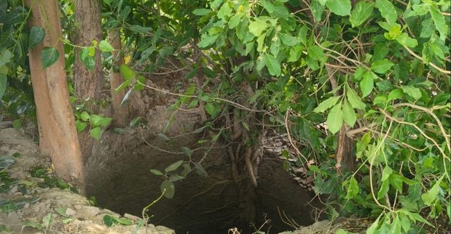 Fatehpur Crime: मुस्लिम प्रेमी संग रहने की जिद पर बड़े भाई ने बहन को मार डाला, शव कुएं में फेंक चौकी में किया आत्मसमर्पण
