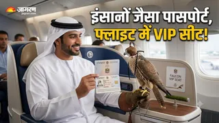 इंसानों की तरह इस पक्षी का भी बनता है 'पासपोर्ट' (Image Source: AI-Generated)