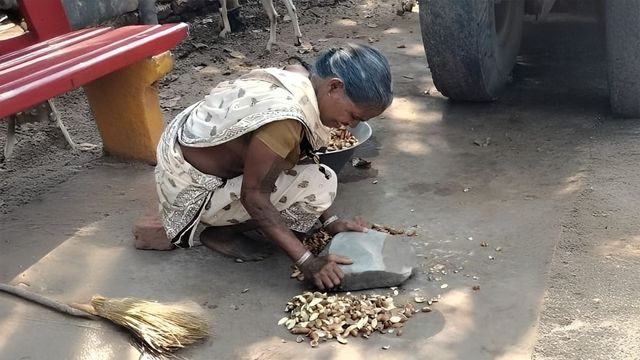 महुआ फूल के बाद अब 'डोरी' दे रही आजीविका को नई रफ्तार, बोकारो में आत्मनिर्भर बन रहे गांव वाले
