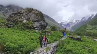 फूलों की घाटी में पर्यटक। जागरण